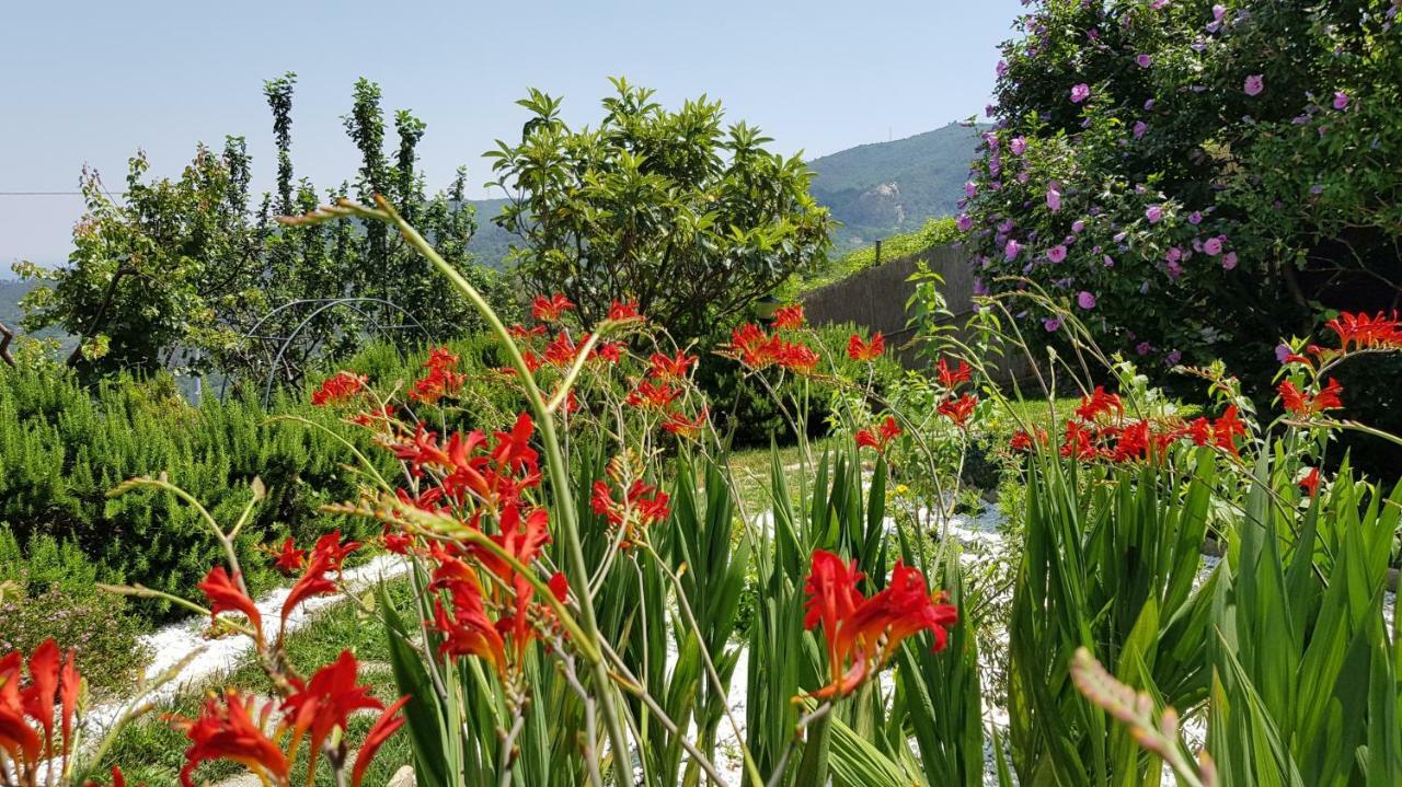 Villa Claudia Quiliano ภายนอก รูปภาพ